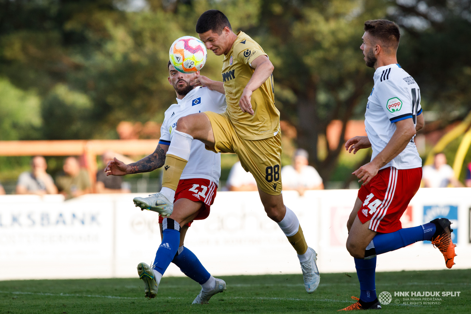 HSV - Hajduk 2:2