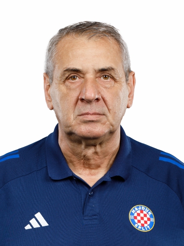 Ivica Roguljić