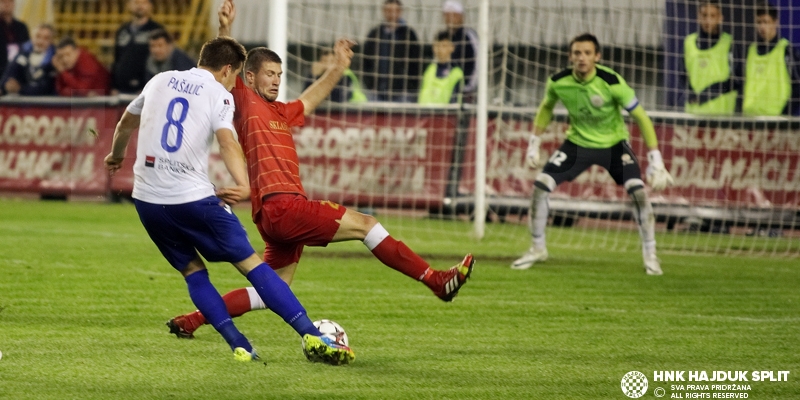 Sušić, Vršajević, Pašalić, Bradarić i Milić nastavljaju s reprezentacijama