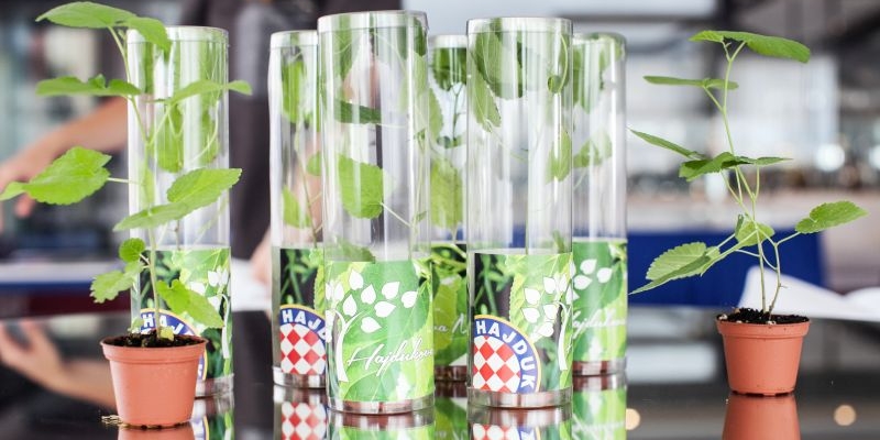 Hajdukova murva od danas u prodaji!